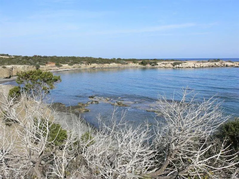 General view, Tavros Hotel Apartments, Cyprus