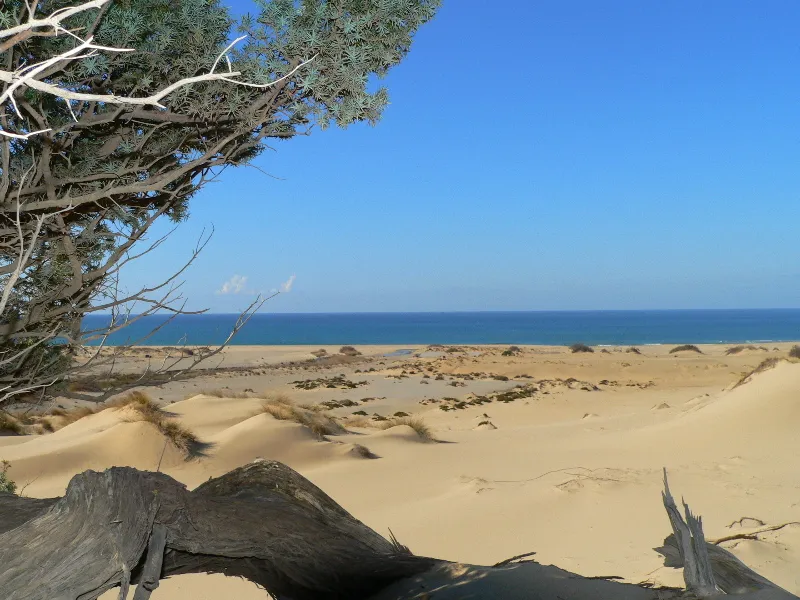 Beach, Tarthesh Hotel, Cagliari