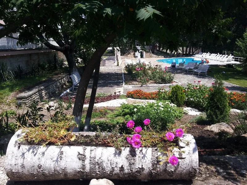 Terrace, Zarya, Varna