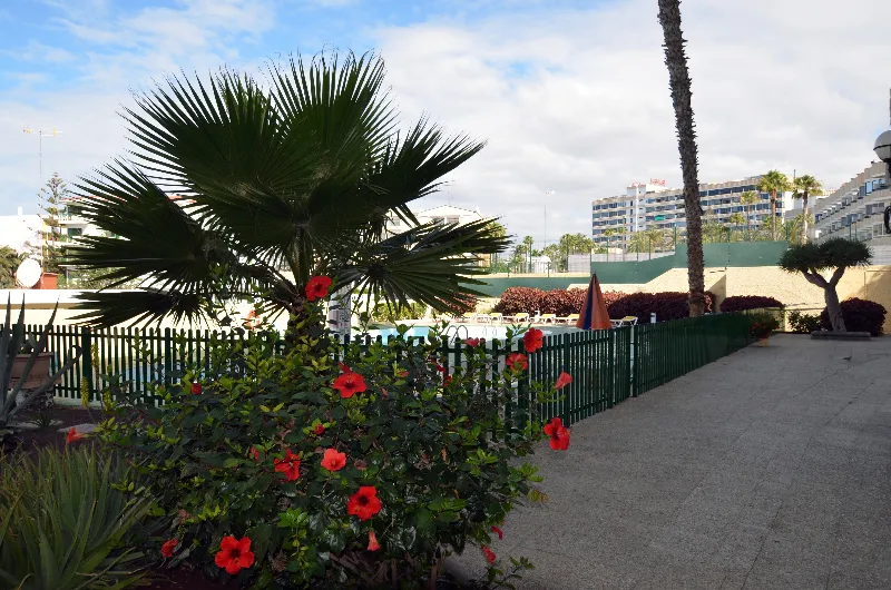 General view, Los Juncos I, Gran Canaria