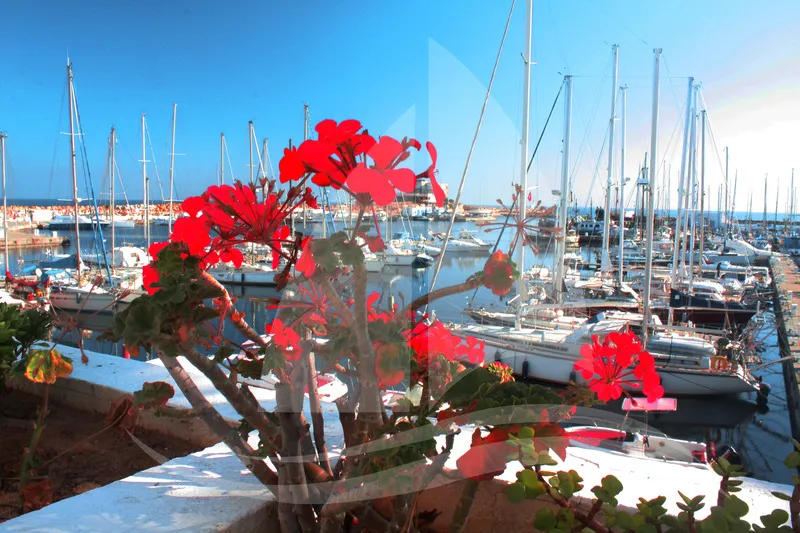 Terrace, Marina Cap Monastir Appart Hotel, Tunisia