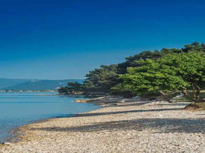 Beach, Apartments Kanegra Plava Laguna, Istria