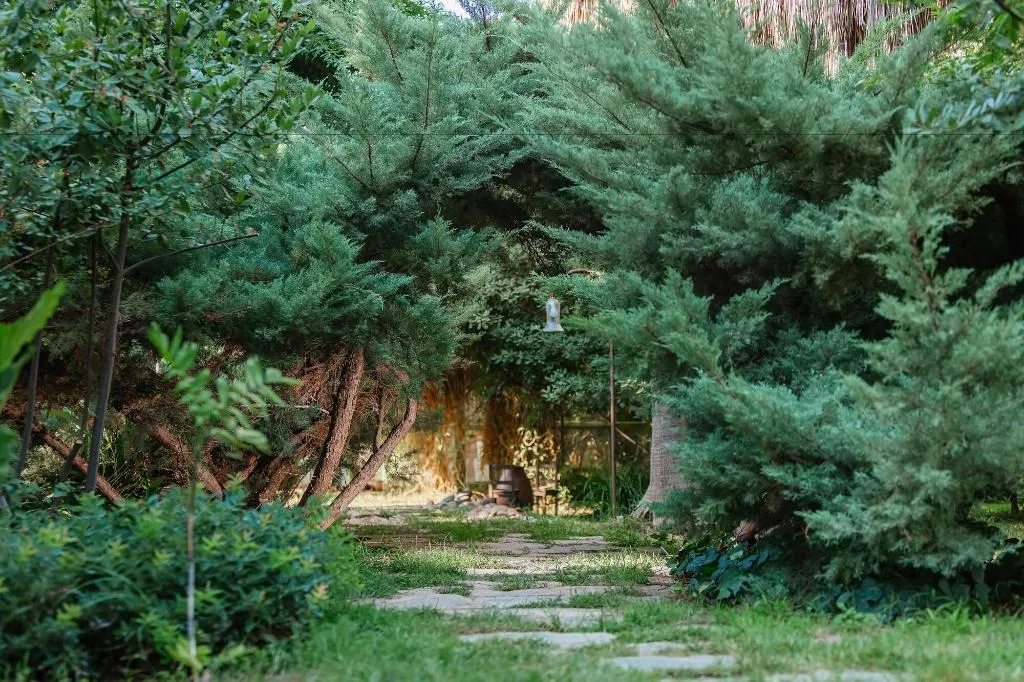 General view, Olympos Lodge, Antalya