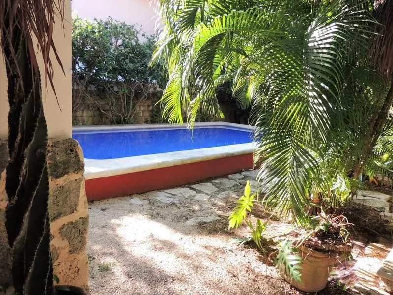 Pool, Casaejido, Playa Del Carmen