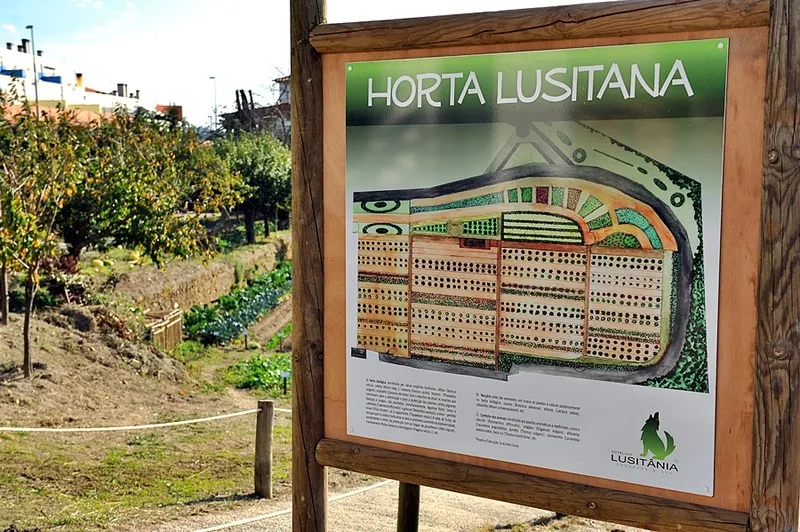 General view, Lusitânia, Porto