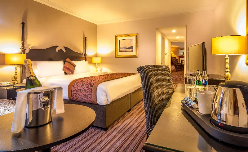 DOUBLE STANDARD Room, Ballsbridge Hotel, Dublin