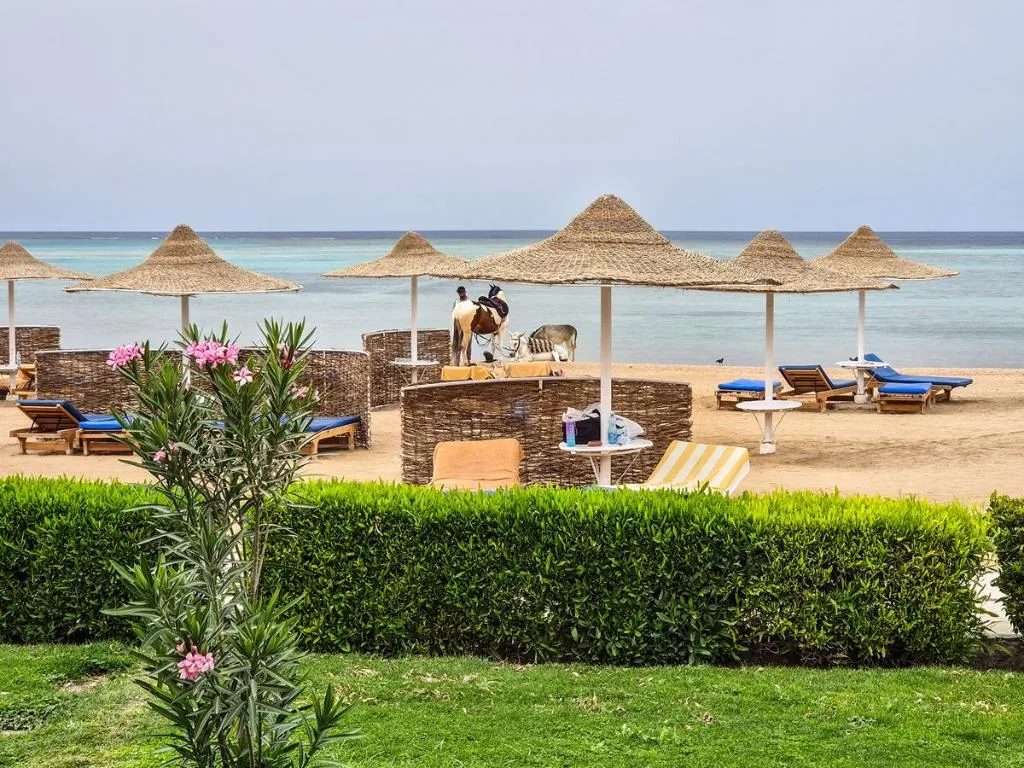 General view, Swisstouch Oriental Resort, Red Sea Riviera