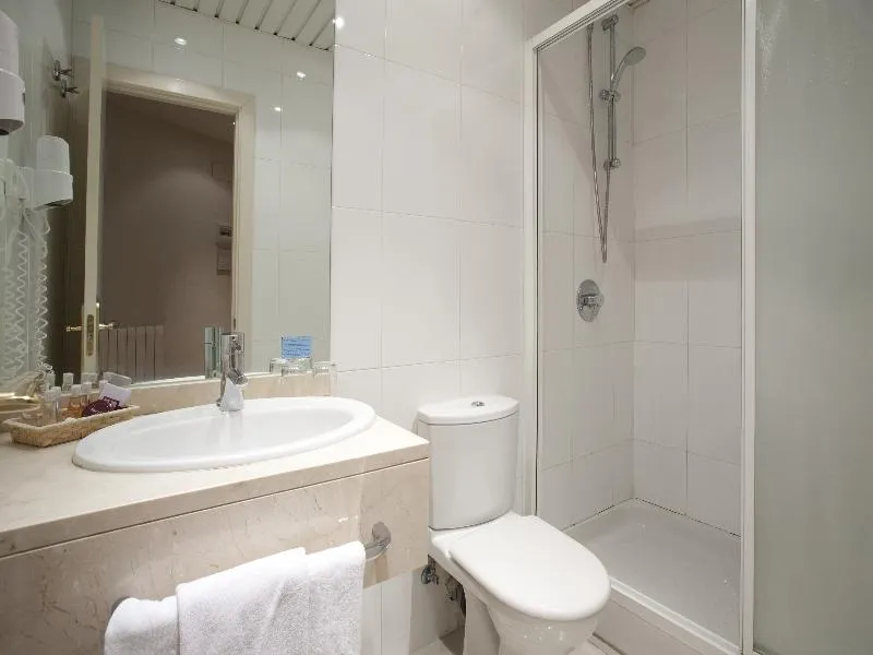 SINGLE STANDARD Room, Regente, Madrid