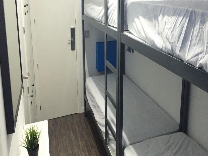 Bed in dormitory FEMALE ROOM Room, Chameleon Hostel Alicante, Costa Blanca