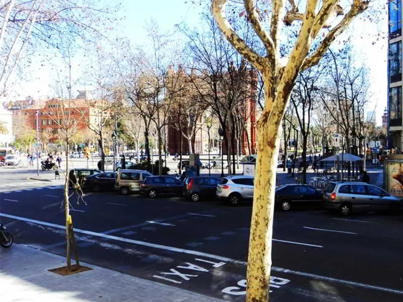 General view, La Isla Hostal, Barcelona