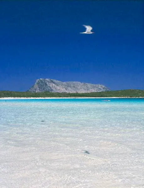 Beach, Complessi Residenziali Le Canne e Le Canne Mare, Olbia