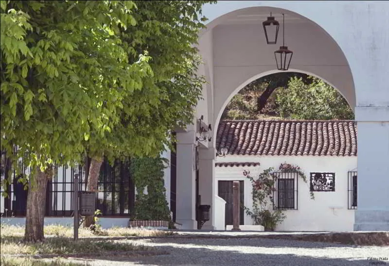 General view, Hospederia Reina De Los AÂngeles, Seville