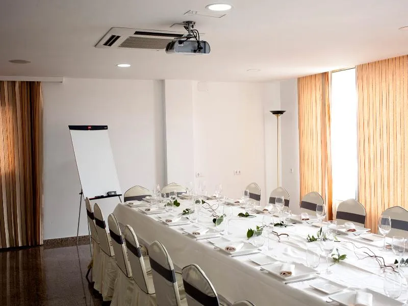 Conferences, Hotel Insula Barataria, Madrid