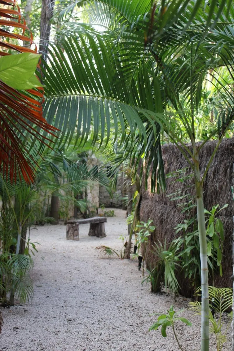 General view, Kuun Taak Tulum, Cancun Area