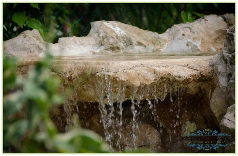 General view, Green Oasis Home Boutique, Playa Del Carmen