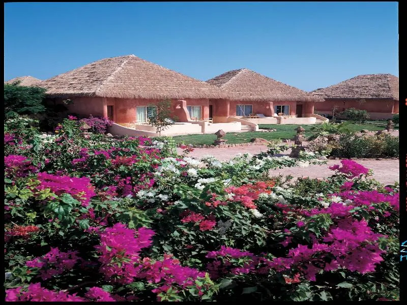 Room, Pickalbatros Laguna Club Resort, Red Sea Riviera