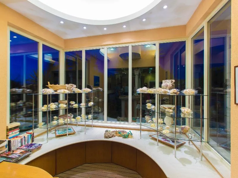Lobby, Spongiola, Split