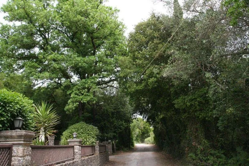 General view, Fiori, Corfu