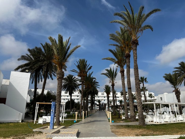 Tergui, Tunisia
