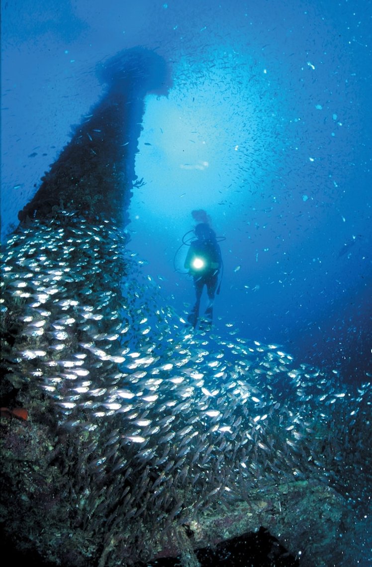 Turtles Inn, Red Sea Riviera