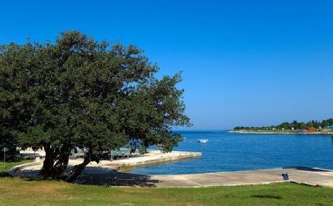 Camping Park Umag, Istria