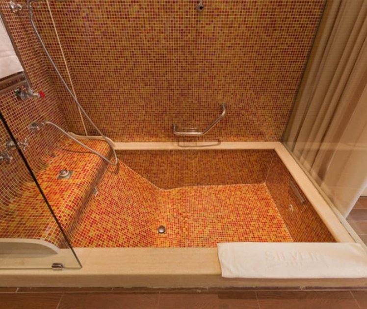 Hotel Silver ****L, Milan
