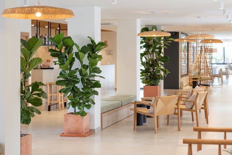 Copaiba By Honne Hotels, Majorca