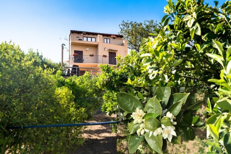 B&B Parco Dei Templi, Catania