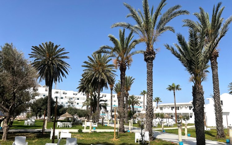Tergui, Tunisia