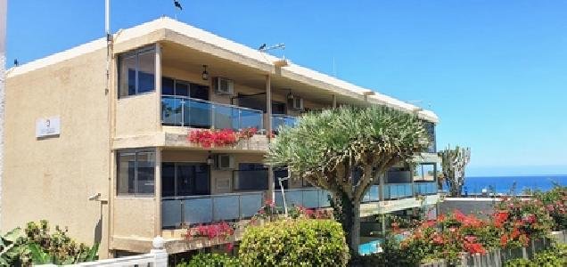 Don Palomon, Gran Canaria