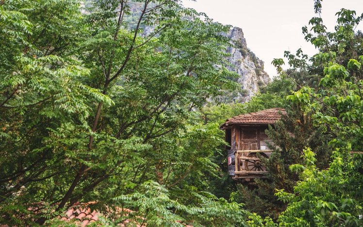Kadir's Tree House, Antalya