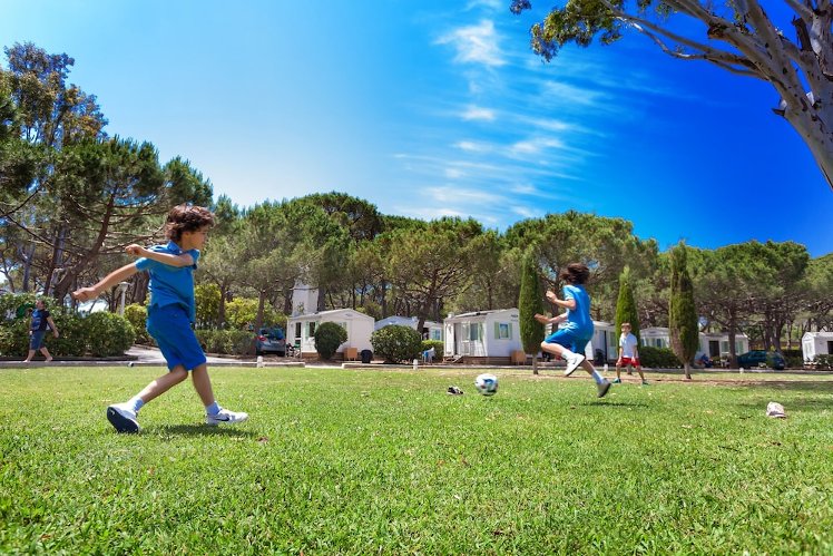 3 Estrellas Camping, Barcelona