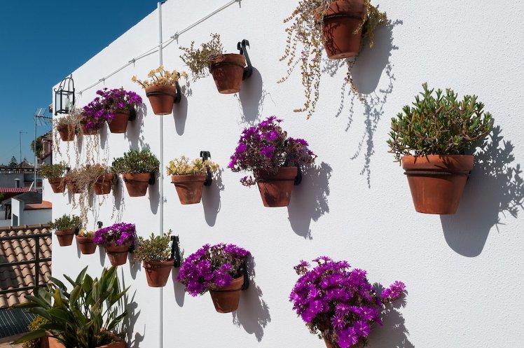 Hotel Murillo, Seville