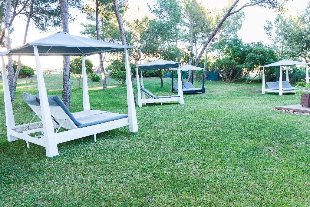 Terrace, Zafiro Alzinar Mar, Majorca