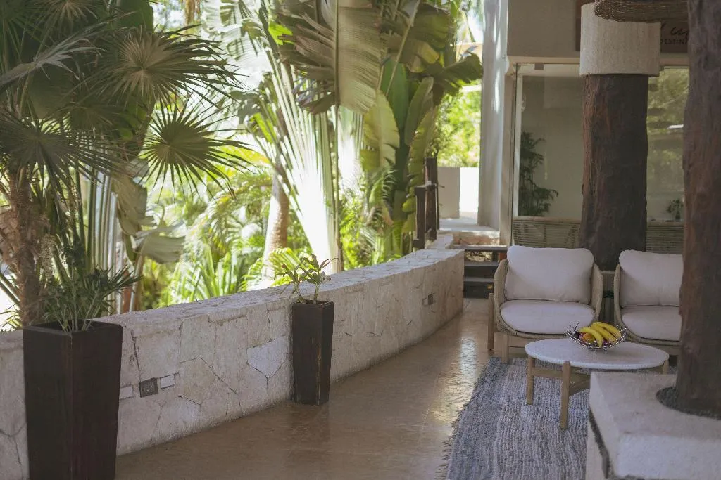 Bar, Ana y Jose Hotel & Spa Tulum, Cancun Area