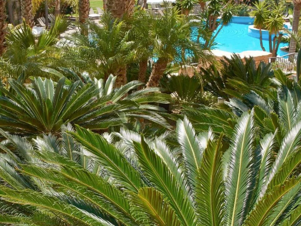 FAMILY ROOM GARDEN VIEW Room, Ria Park Hotel and Spa, Algarve