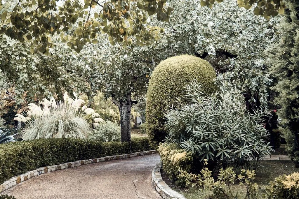 Terrace, The Danai, Thessaloniki