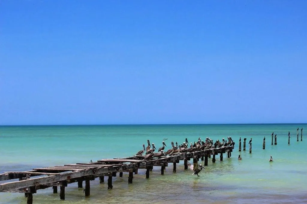 Terrace, Cabañas El Cuyo, Cancun Area