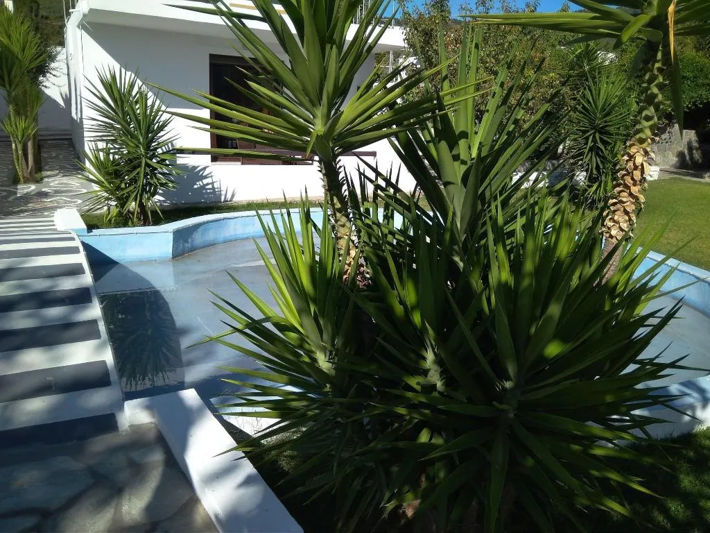 Terrace, Skiathos Holiday House, Skiathos