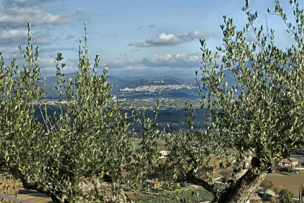 General view, Poggio Degli Olivi, Perugia