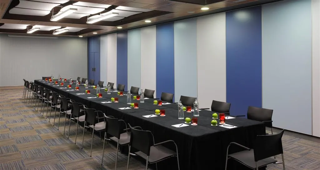 Conferences, Melia Castilla, Madrid