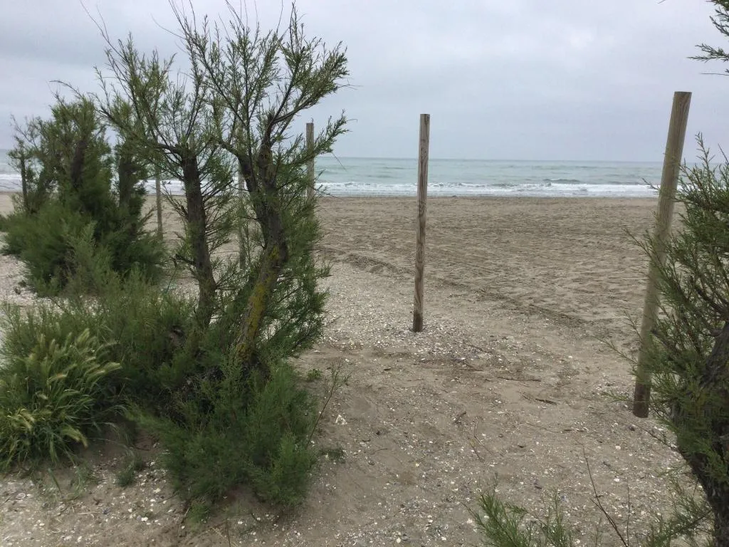 Beach, Hotel Eraclea Palace, Venice