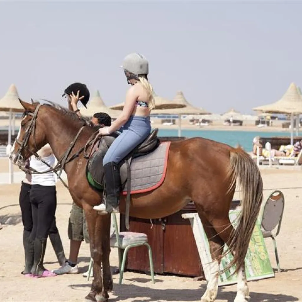 Sports and Entertainment, Coral Beach Resort Hurghada, Red Sea Riviera