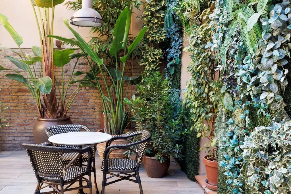 Terrace, Ronda Lesseps, Barcelona