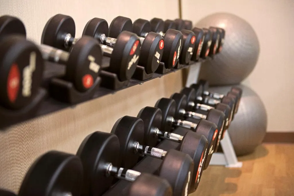 Sports and Entertainment, MENA Plaza Hotel Albarsha, Dubai