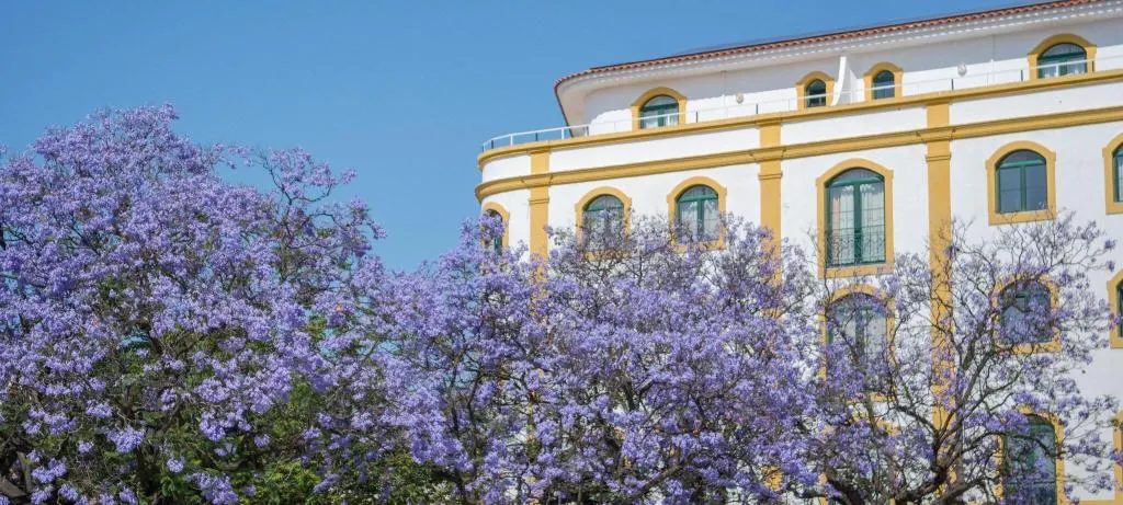 General view, Loule Jardim, Algarve