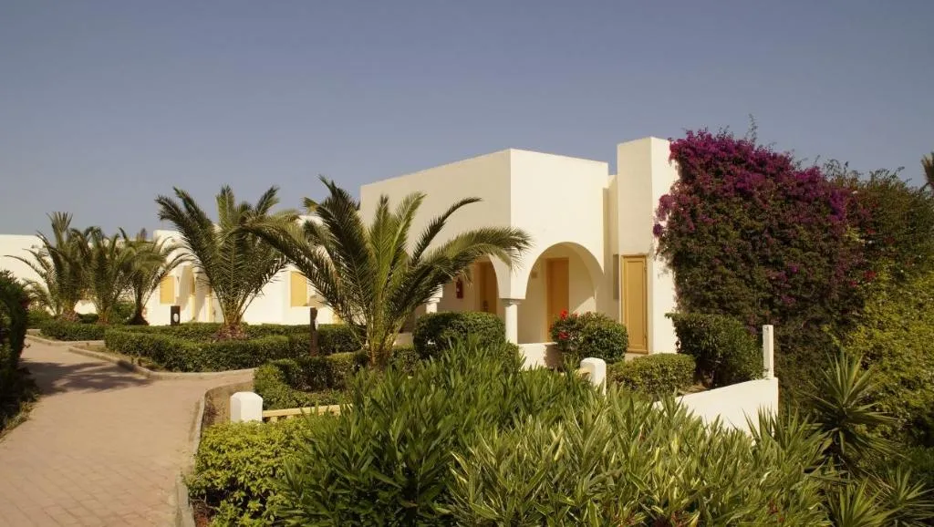 Terrace, Calimera Delfino Beach Resort & Spa, Tunisia