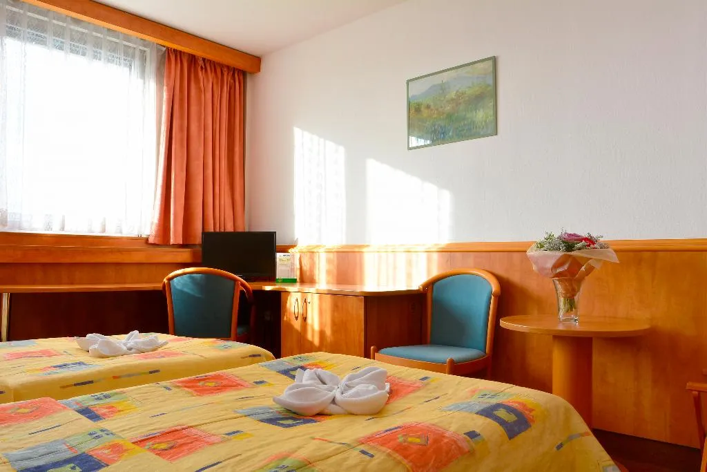 Double or Twin STANDARD Room, Olympik, Prague