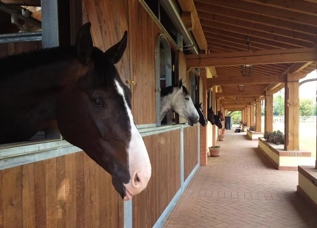 Sports and Entertainment, Agriturismo Il Boschetto, Milan