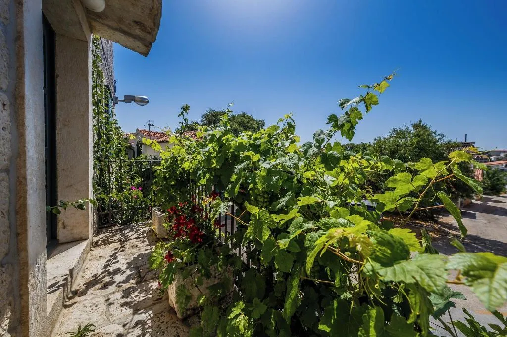 General view, Villa Rustica Dalmatia Depadance, Split
